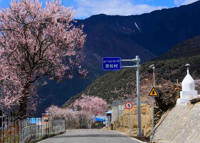 成都九寨包车，一条通往自然与文化之旅的绝佳路线-第1张图片-成都租车公司